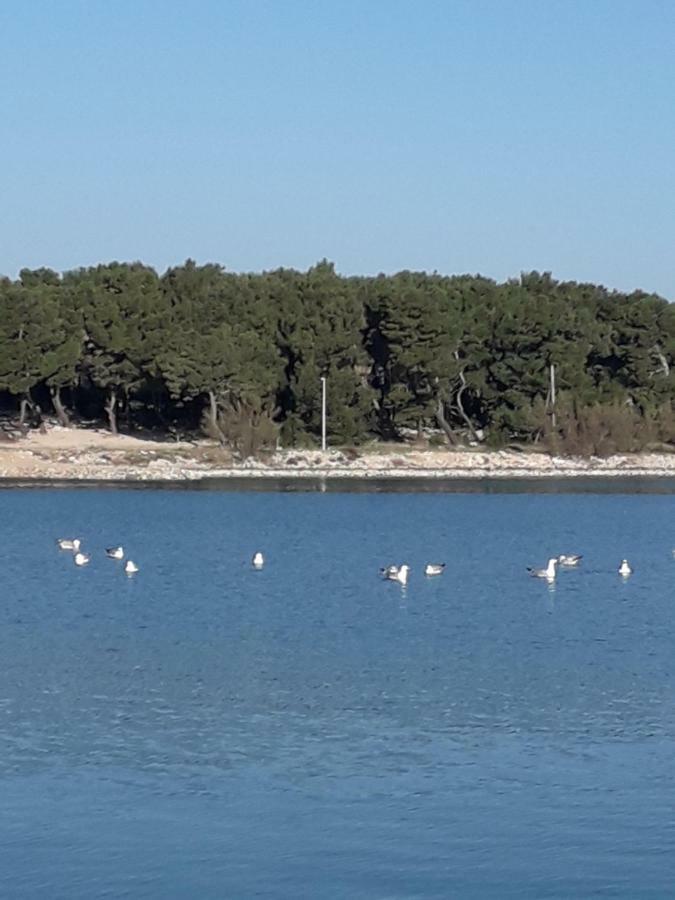 Apartmani Matko Betina  Kültér fotó