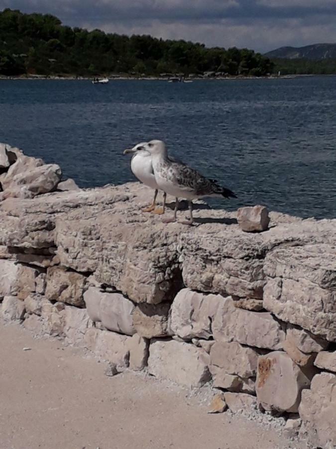 Apartmani Matko Betina  Kültér fotó